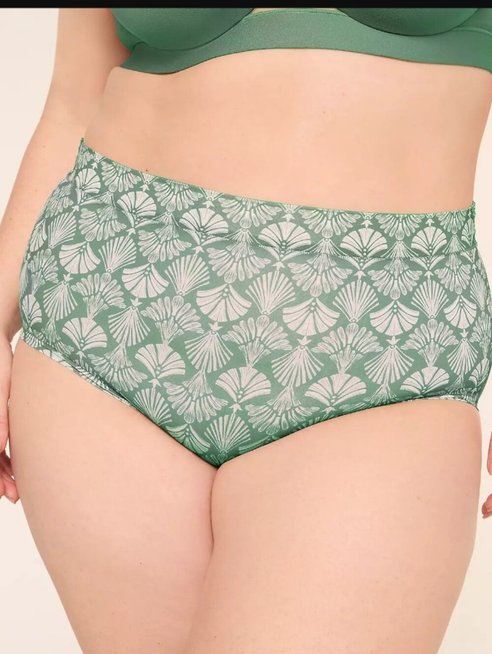Cacique 18/20 Full Brief